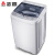 志高（CHゴ）10キロの全自動洗濯機の家庭用寮を借りて大容量を借りて脱水をして一体となった小型のスポットラインの透明な灰（風乾金）
