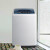 LittleSwan洗濯機全自動波輪8 kg家庭用静音脱水機健康自動洗濯機